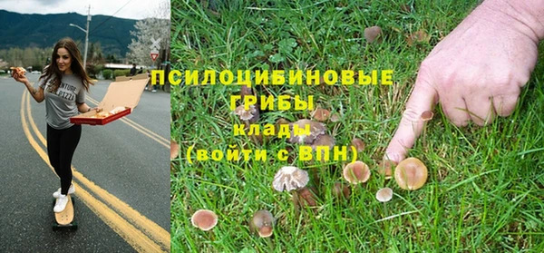 амф Алексеевка