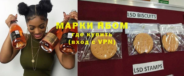 хмурый Алзамай