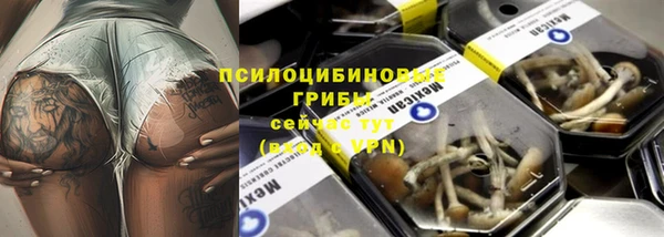 хмурый Алзамай