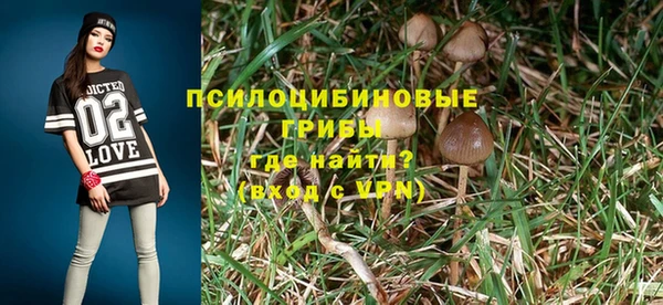 хмурый Алзамай